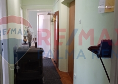 Palma rentImg 20250801 125407