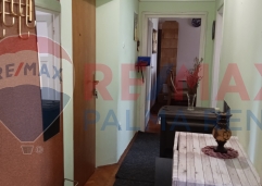 Palma rentImg 20250801 125448