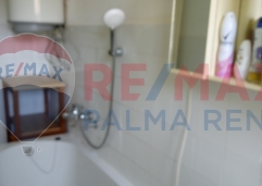 Palma rentImg 20250801 130226 1