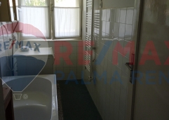 Palma rentImg 20250801 130807 1