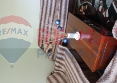 Palma rentImg 20250801 145637