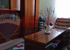 Palma rentImg 20250801 145948