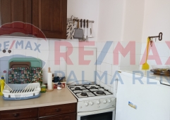 Palma rentImg 20250801 150748