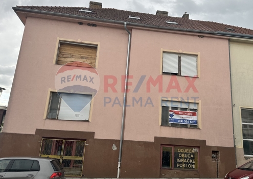 Palma rentImg-2765