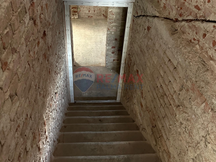 Palma rentPhoto-2026-05-12-18-57-56