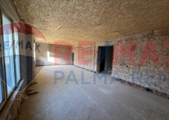 Palma rentPhoto-2026-05-12-18-58-18