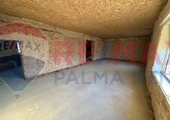 Palma rentPhoto-2026-05-12-18-58-25