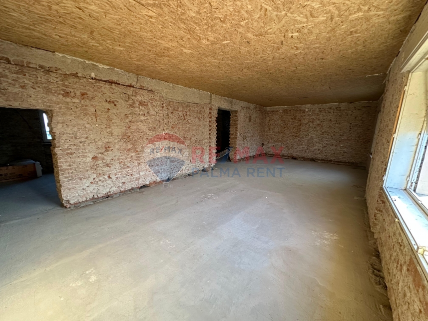 Palma rentPhoto-2026-05-12-18-58-25