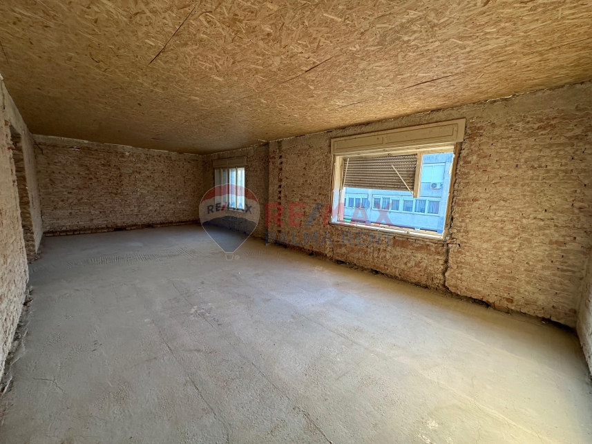Palma rentPhoto-2026-05-12-18-58-29