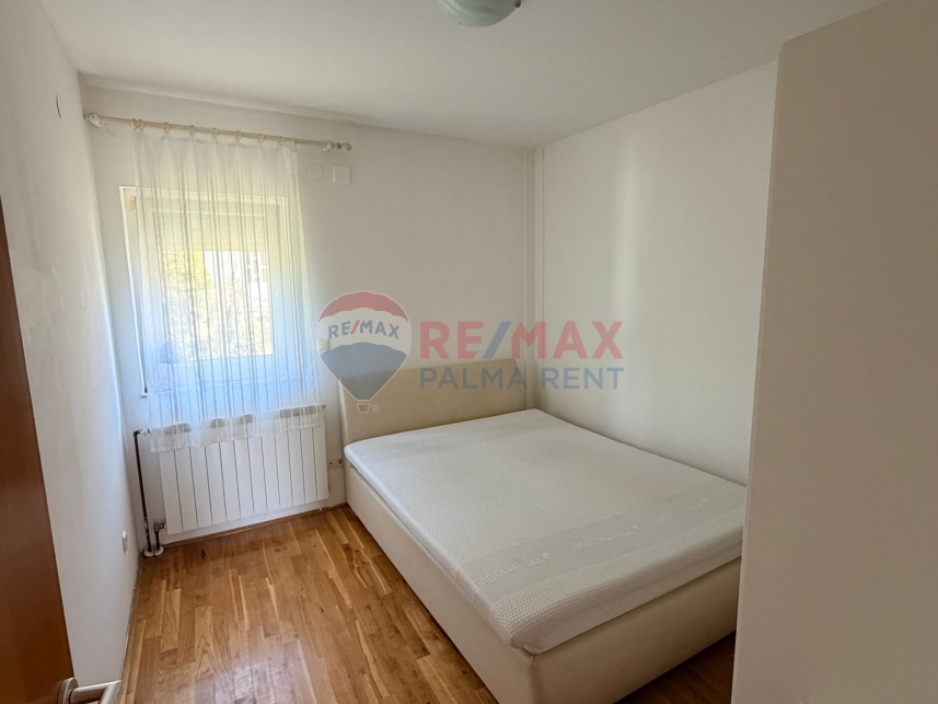 Palma rentImg-20261013-wa0004