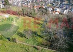 Palma rentDji 0796