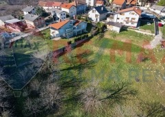 Palma rentDji 0798