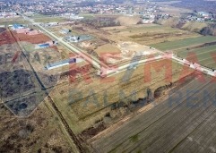 Palma rentDji 0732