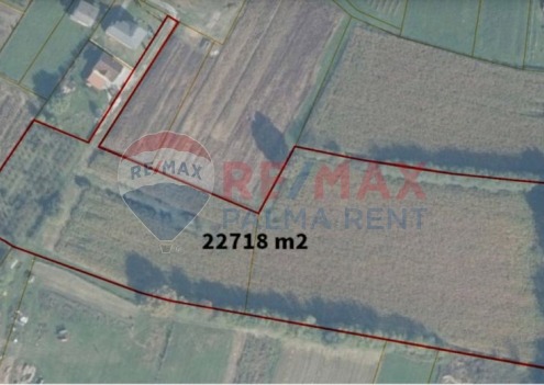 Palma rentPoljoprivredno-zemljiste-nasadom-ljesnjaka-ivanic-grad