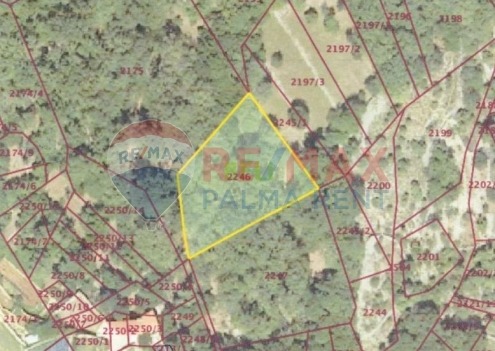 Palma rentPoljoprivredno-zemljiste-sveti-petar-1460-m2-slika-181286834